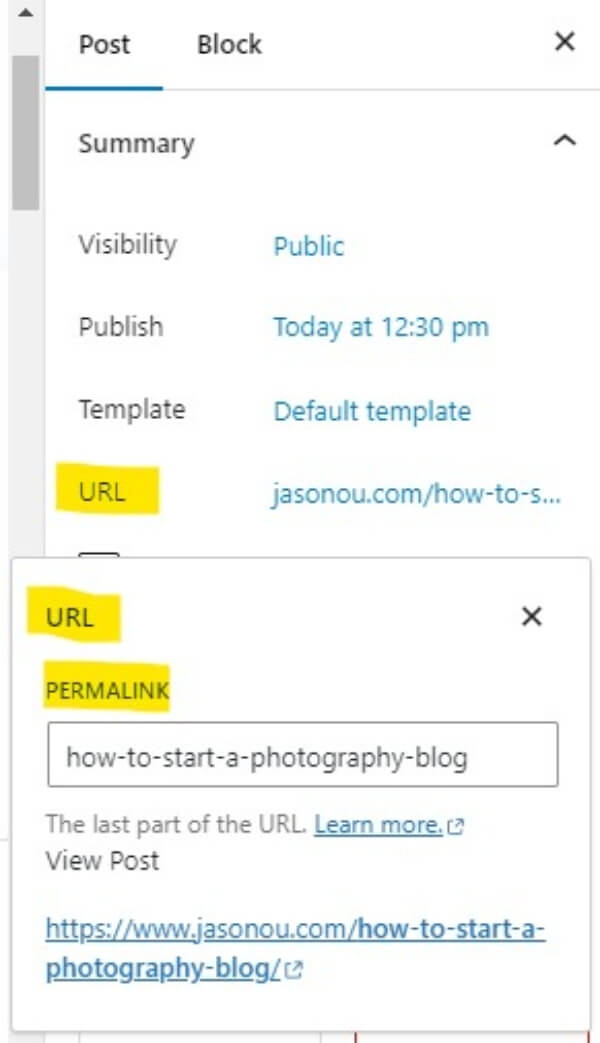 Starting a WordPress blog post.